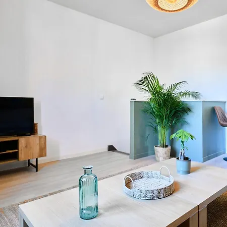 Duplex Cosy Et Lumineux Au Pied Du Tram Appartement