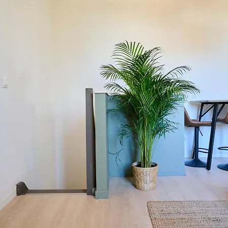 Duplex Cosy Et Lumineux Au Pied Du Tram Mouvaux